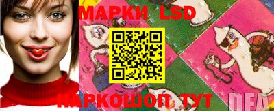 ешки Волгодонск