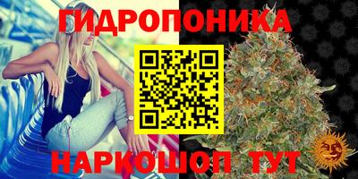 ешки Волгодонск