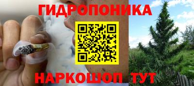 ешки Волгодонск
