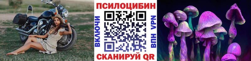 купить наркотики цена Заводоуковск Галлюциногенные грибы мухоморы
