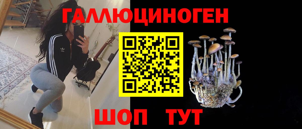 Заводоуковск  Псилоцибиновые грибы GOLDEN TEACHER  Вход с VPN 